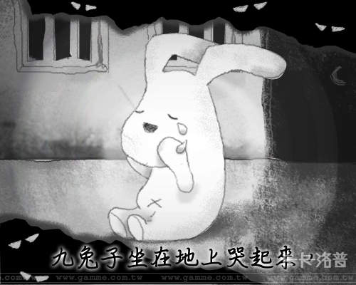 圖片9 圖片9