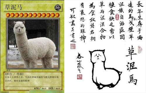 圖片11 圖片11