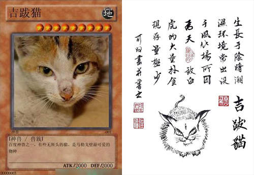 圖片7 圖片7