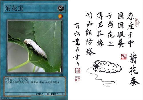 圖片8 圖片8
