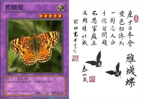 圖片9 圖片9
