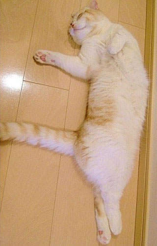 圖片6 圖片6