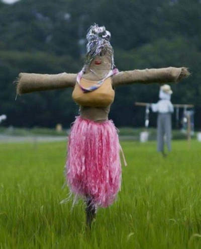 圖片10 圖片10