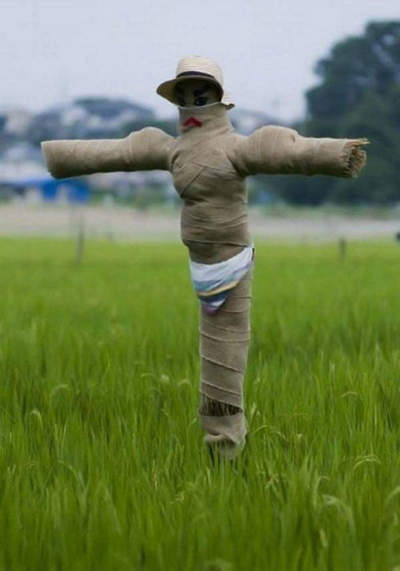 圖片11 圖片11