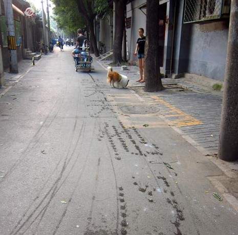 圖片10 圖片10
