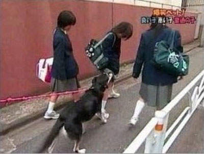 圖片11 圖片11