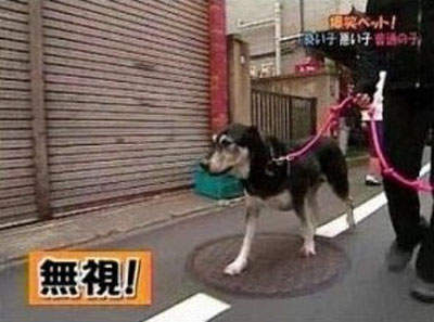 圖片15 圖片15