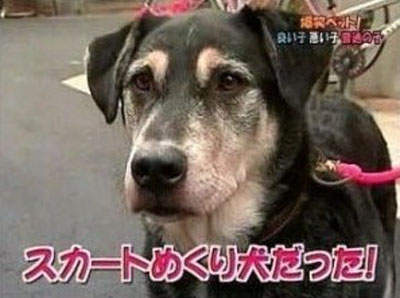 圖片7 圖片7