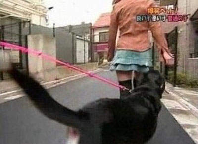 圖片8 圖片8