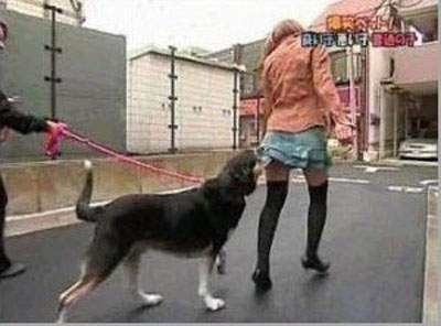 圖片9 圖片9
