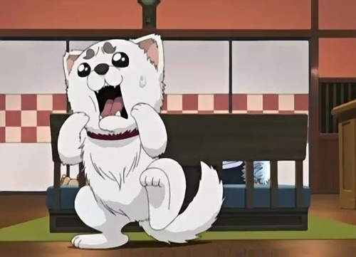 圖片5 圖片5