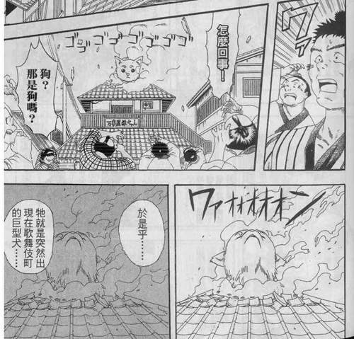 圖片10 圖片10