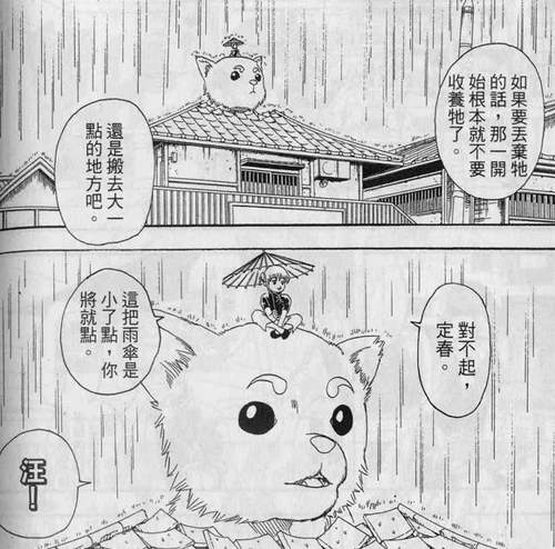 圖片11 圖片11