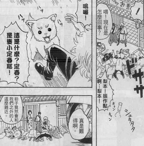圖片17 圖片17
