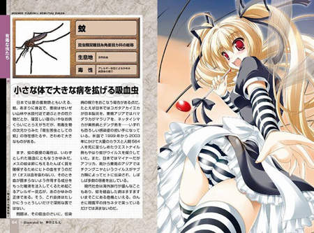圖片19 圖片19