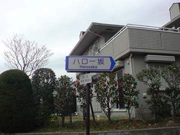 圖片6 圖片6