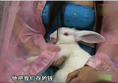 圖片6 圖片6