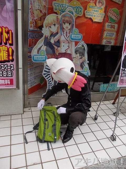 圖片31 圖片31