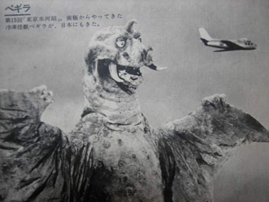 圖片24 圖片24