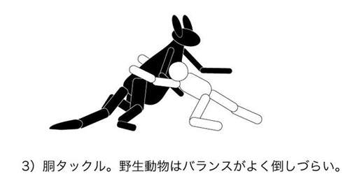 圖片10 圖片10