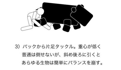 圖片17 圖片17