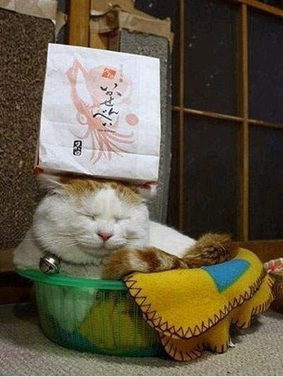 圖片5 圖片5