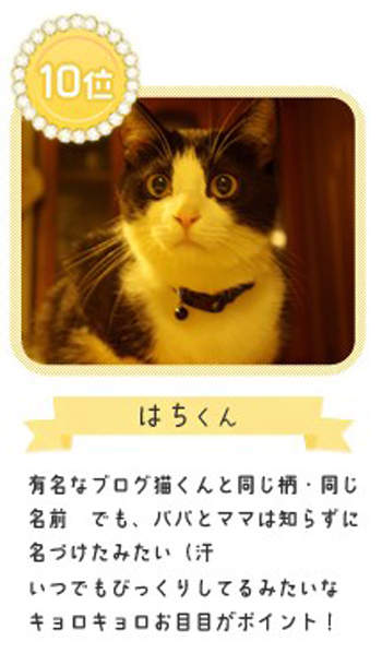 圖片13 圖片13