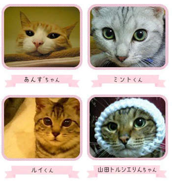 圖片17 圖片17