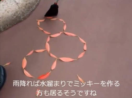 圖片15 圖片15