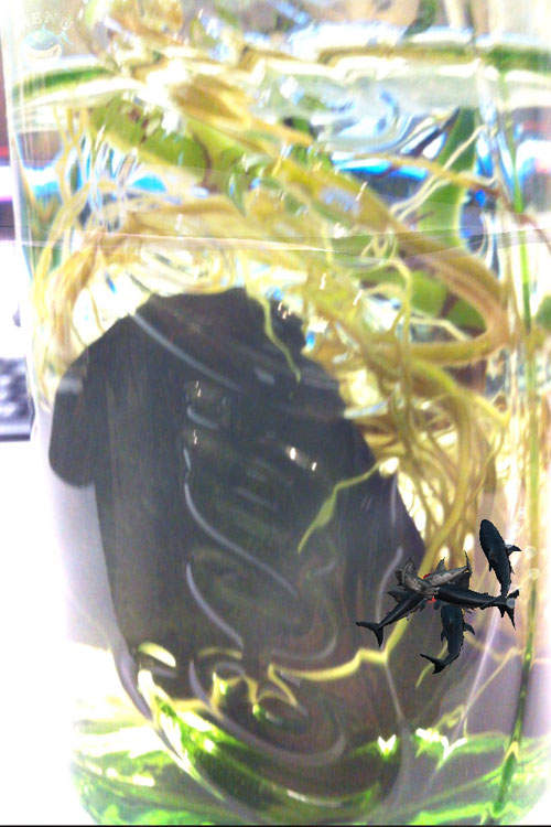 圖片5 圖片5