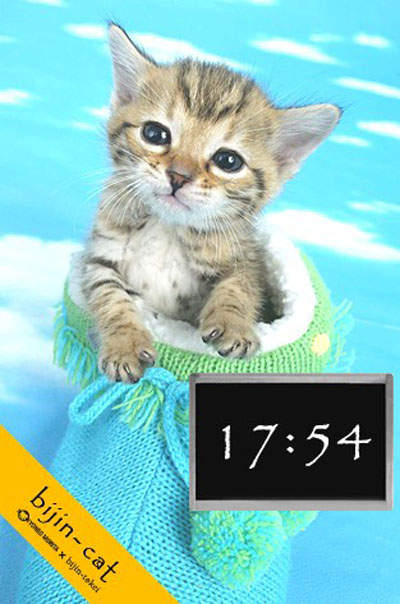 圖片13 圖片13