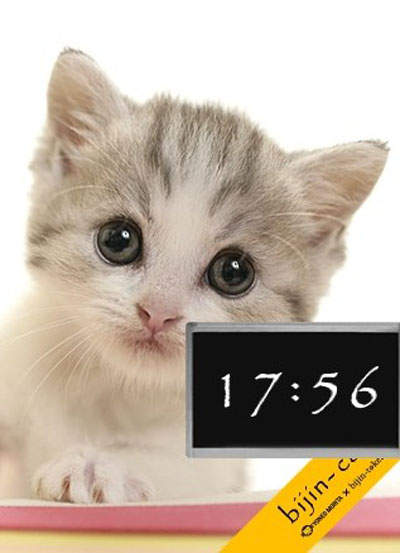 圖片14 圖片14