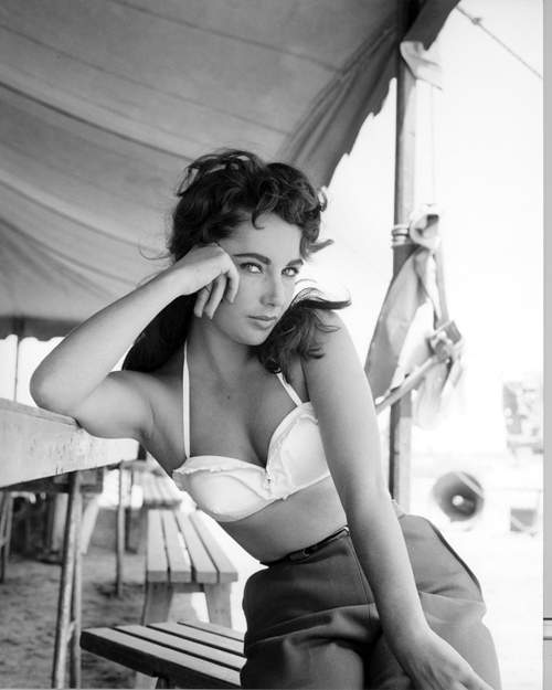 20110325-elizabeth taylor1 圖片27