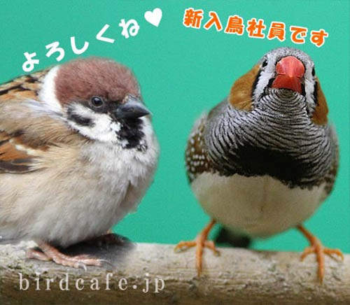 圖片13 圖片13