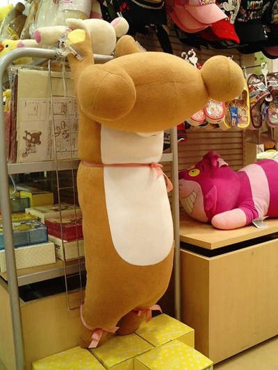 圖片10 圖片10