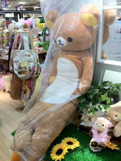 圖片5 圖片5