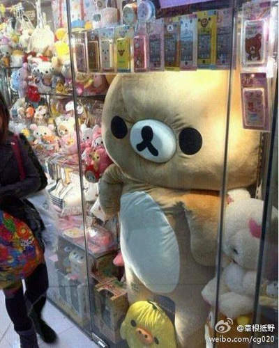 圖片6 圖片6