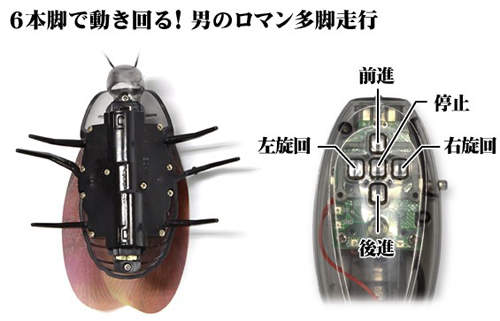 圖片7 圖片7
