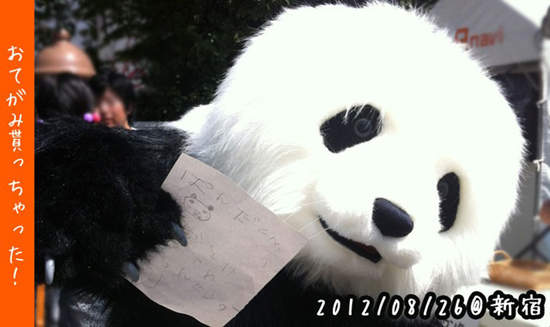 圖片11 圖片11