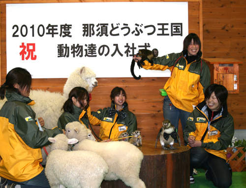 圖片10 圖片10