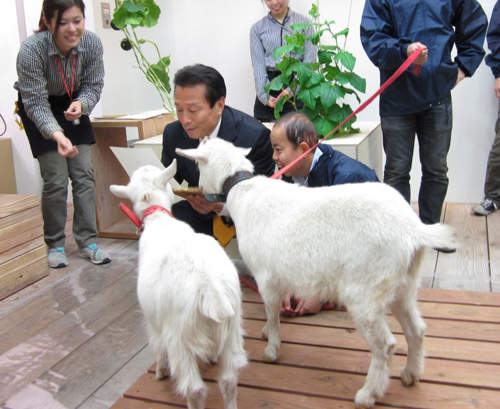 圖片8 圖片8
