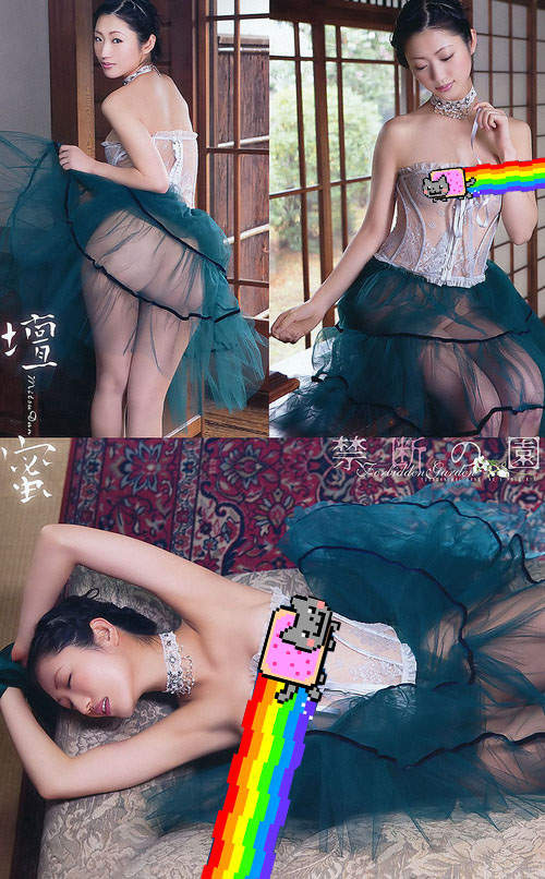 圖片21 圖片21