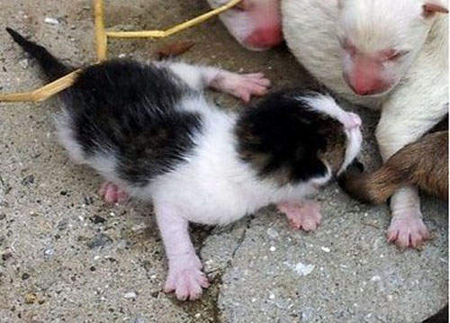 圖片4 圖片4