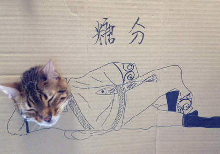 圖片11 圖片11