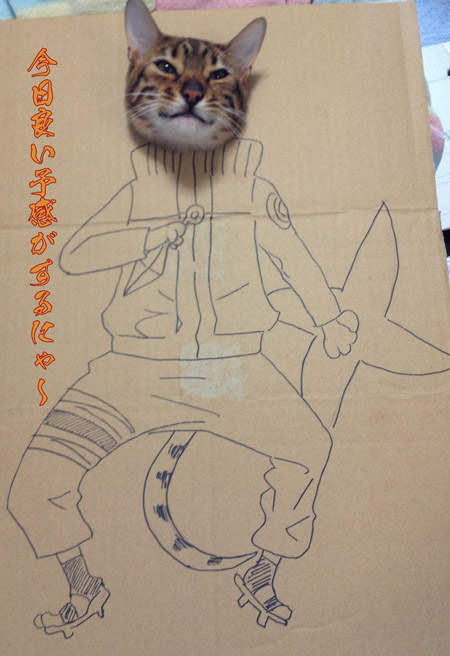 圖片12 圖片12