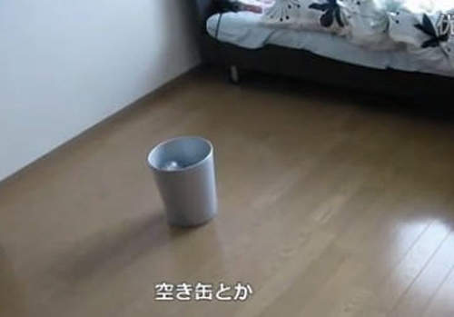 圖片5 圖片5