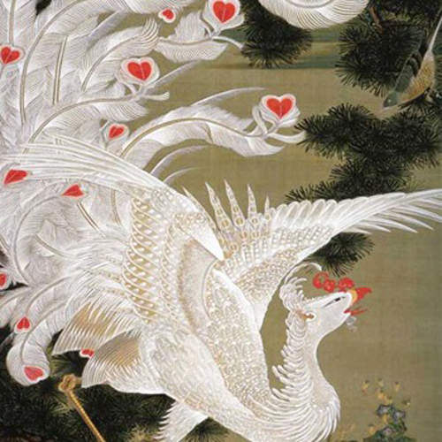 圖片4 圖片4