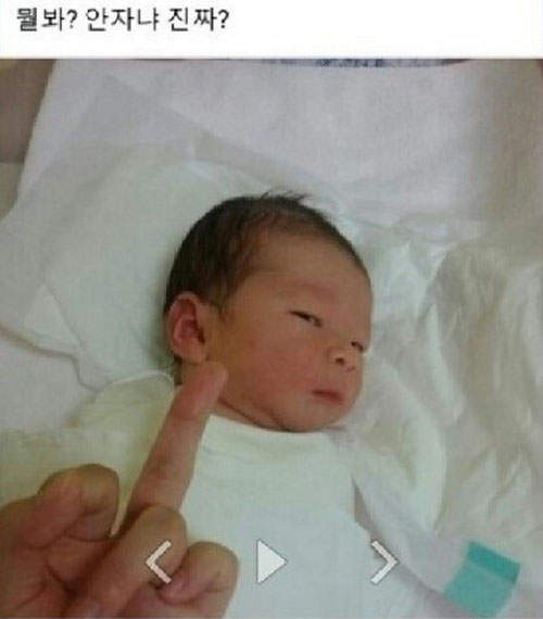 圖片14 圖片14