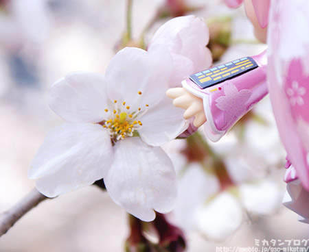 圖片9 圖片9