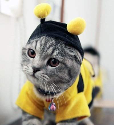 圖片15 圖片15